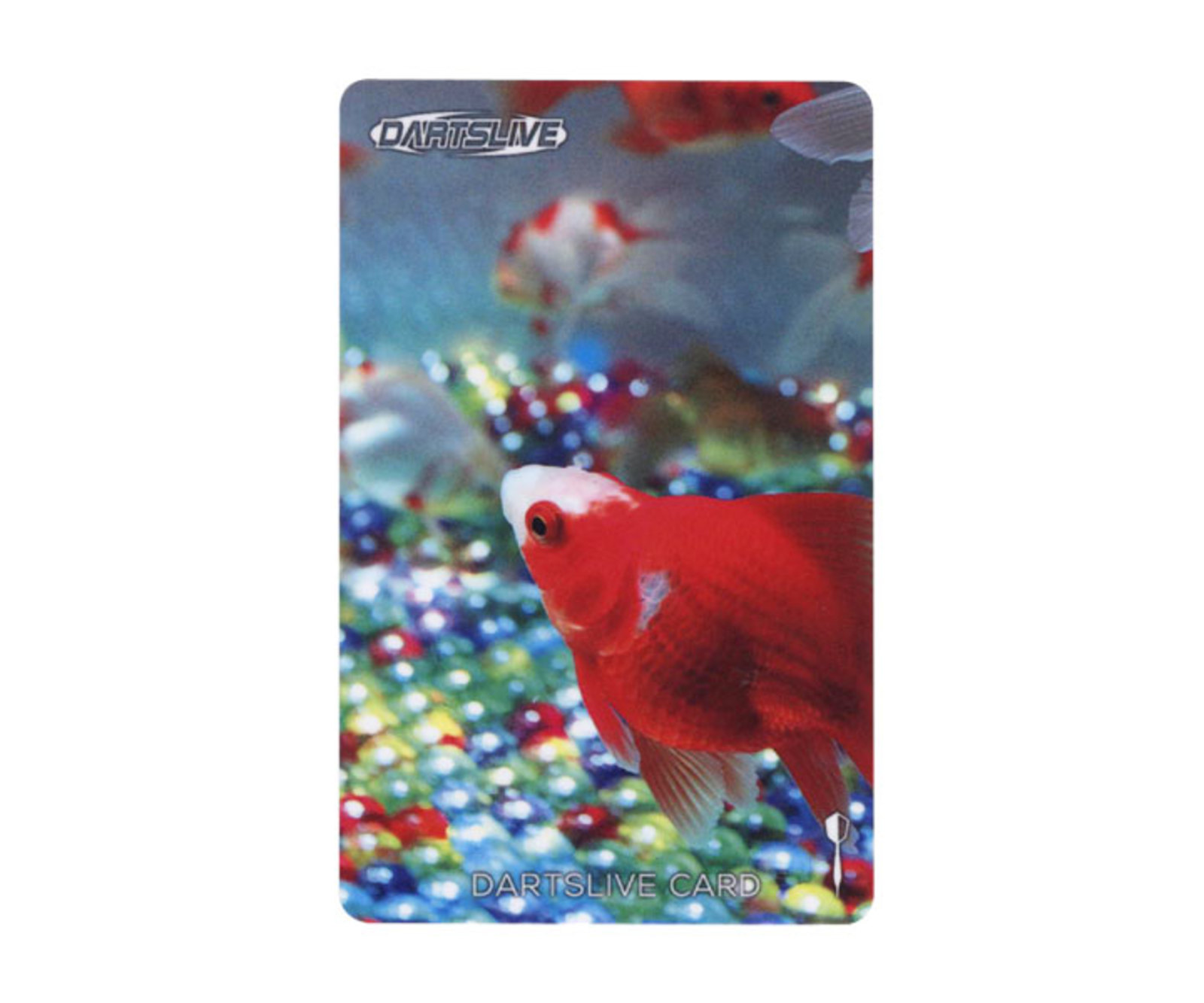 ダーツライブ　レアカード Amazon | ダーツライブカード レア DARTSLIVE JER 15 | ダーツ矢