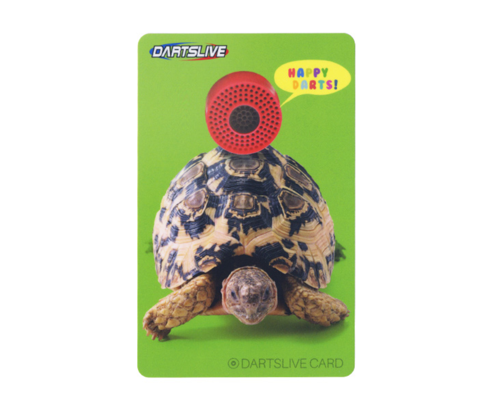 ダーツゲームカード【ダーツライブ】NO.1497 BULL 亀｜ダーツ用品は