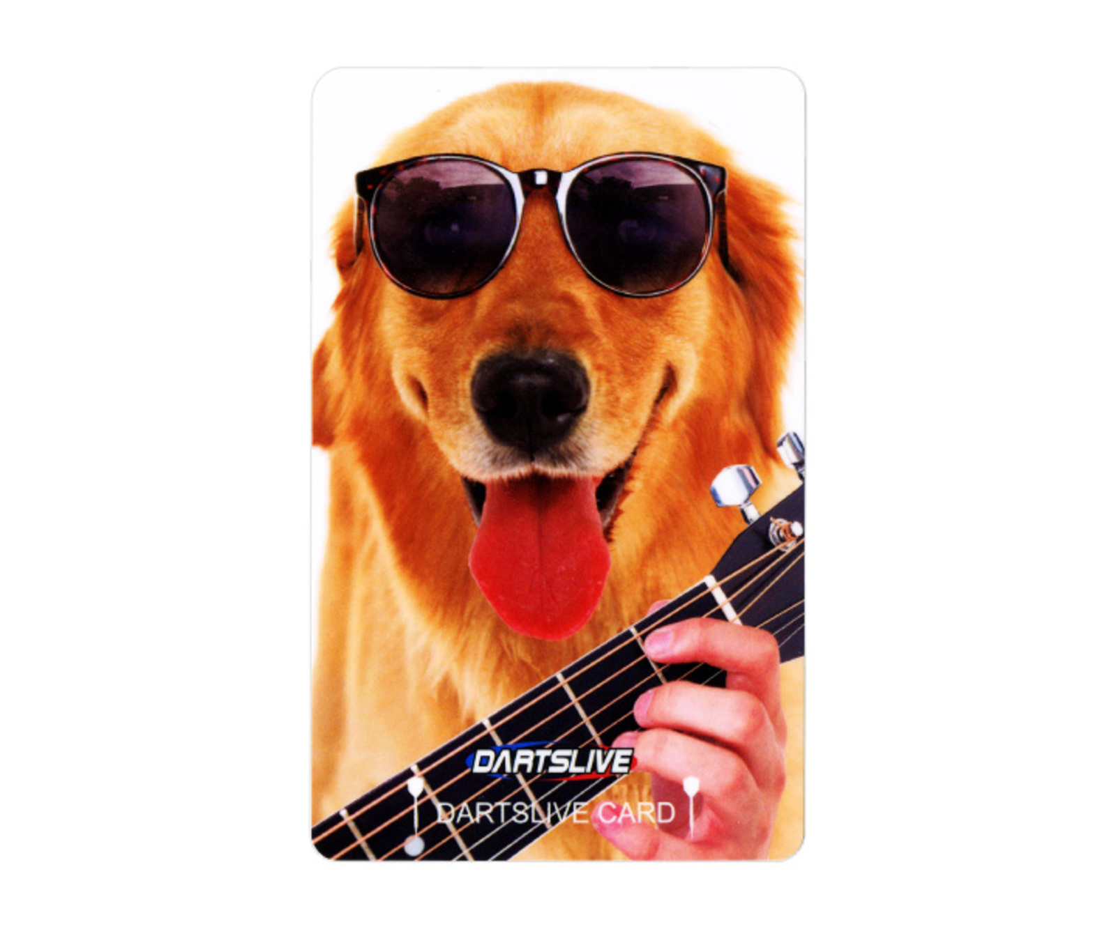 ダーツライブカード　ゴールド アクセサリ > ダーツライブカード > DARTSLIVE CARD #056 ＜16