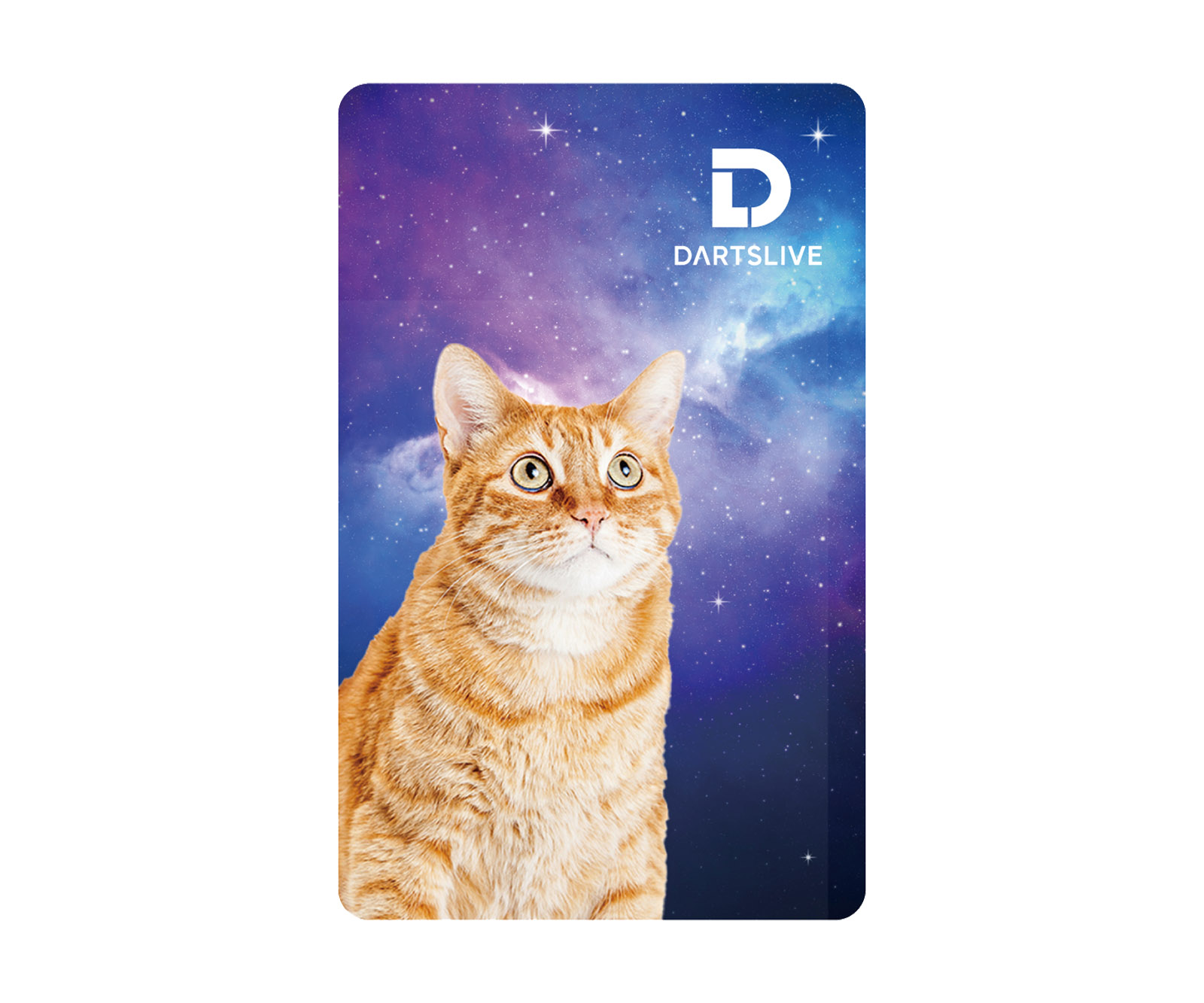 ゲームカード【ダーツライブ】#50 猫と銀河｜ダーツ用品はエスダーツ
