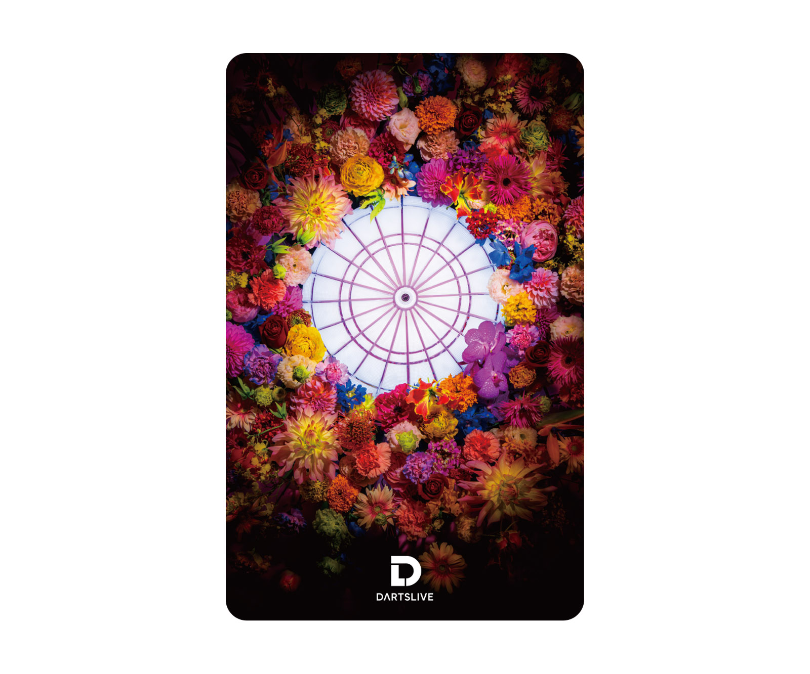 ダーツライブカード 花札5枚セット ダーツ DARTSLIVE CARD ライブカード 花札 スカル 買い物 パーツ
