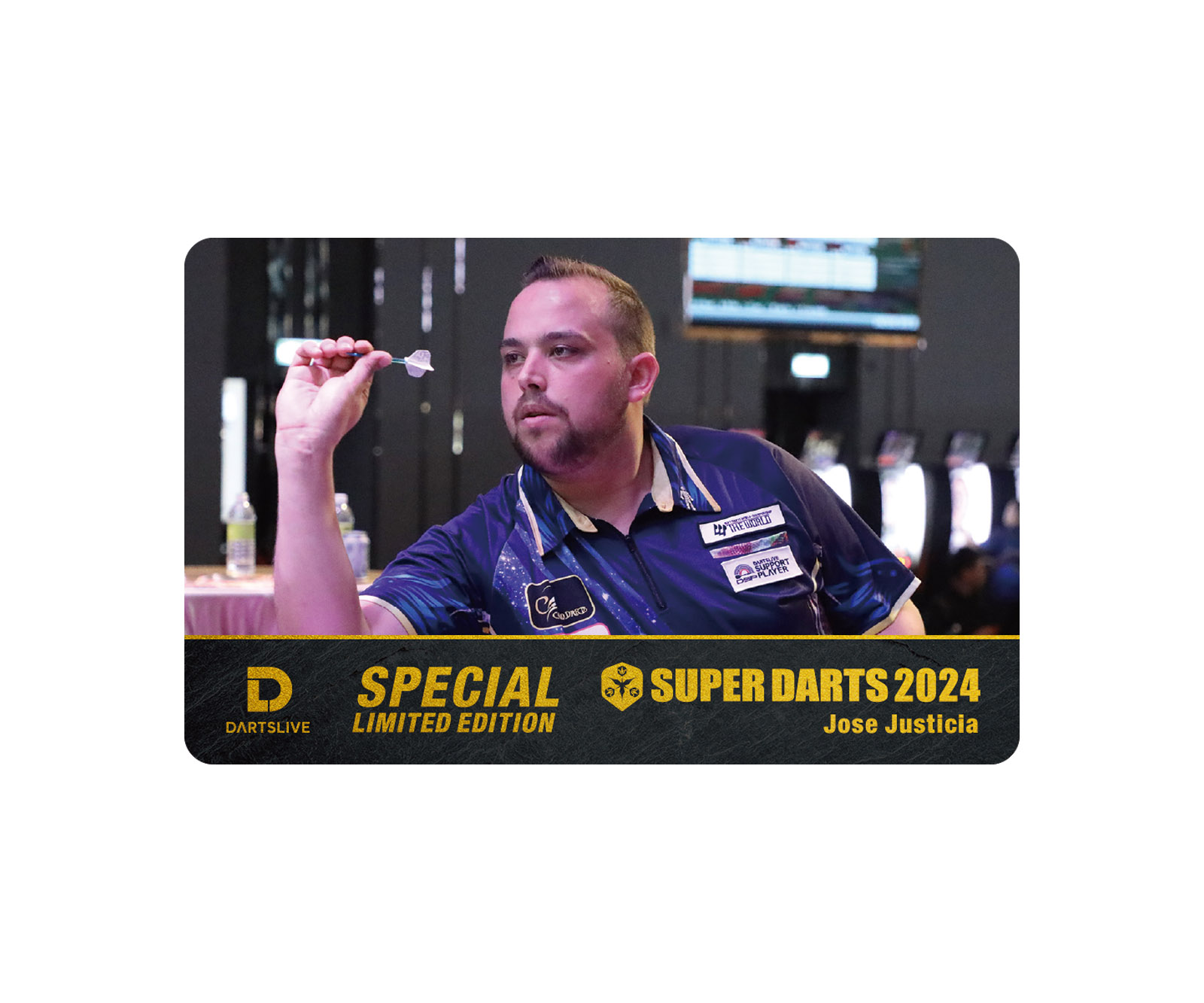 DARTSLIVE-ZERO BOARD : Amazon.sg: Sporting Goods