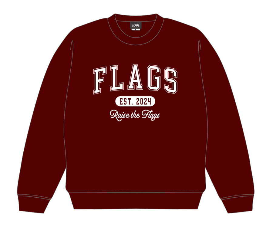 SUPER BEAVER カレッジロゴスウェット 未開封！ SUPER BEAVER カレッジ